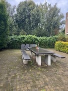 FRONT GARDEN.jpg